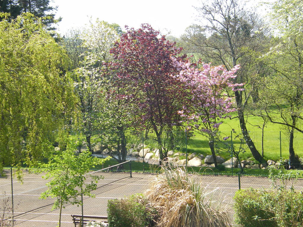 Riverfield Bed And Breakfast 戈里 外观 照片