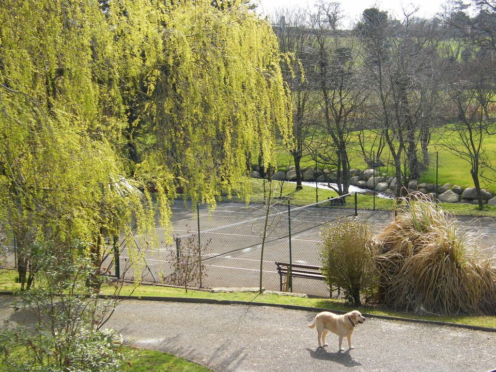 Riverfield Bed And Breakfast 戈里 外观 照片