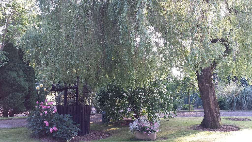 Riverfield Bed And Breakfast 戈里 外观 照片