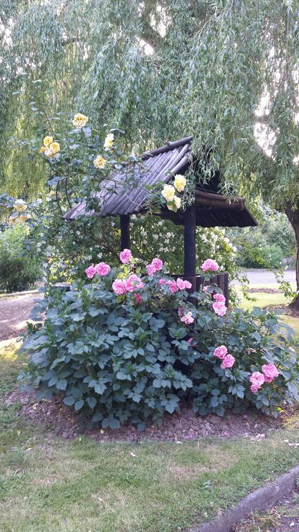Riverfield Bed And Breakfast 戈里 外观 照片