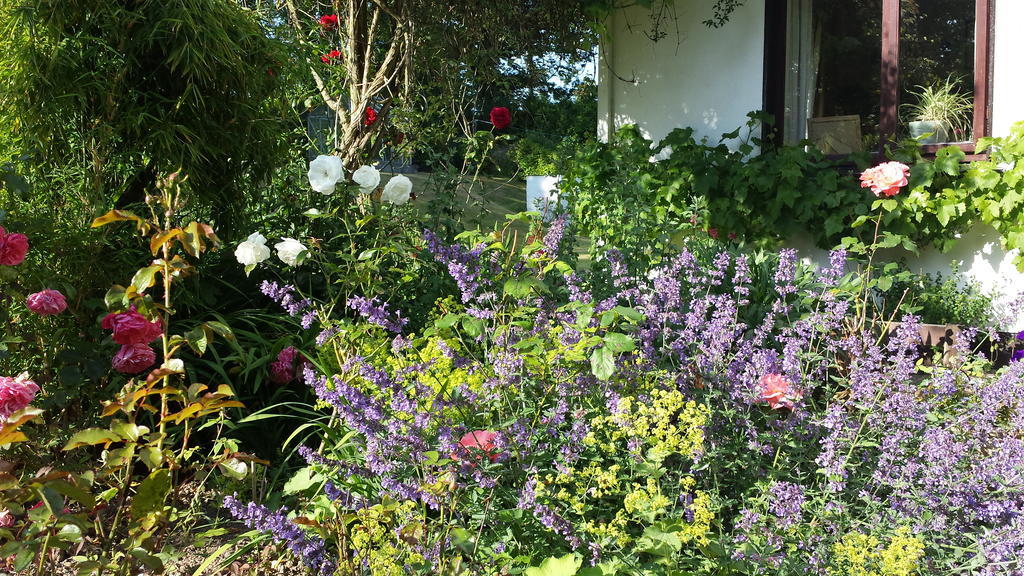 Riverfield Bed And Breakfast 戈里 外观 照片